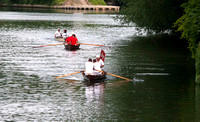 Swan Uppers rowing Thames Skiffs