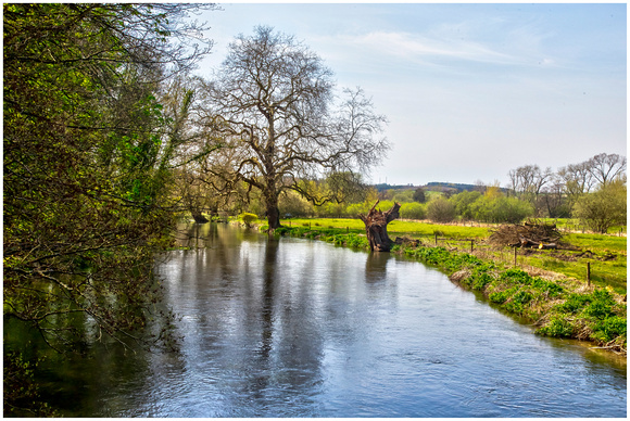 The River Avon (Hampshire))