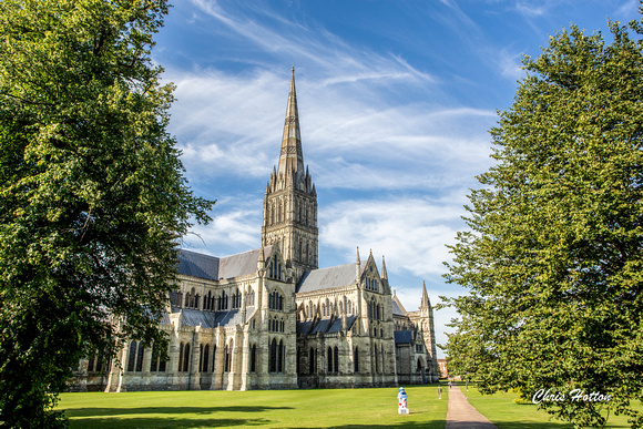 Salisbury Cathedral in Morning Sunshine