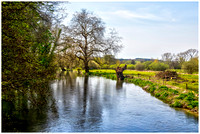 The River Avon (Hampshire))